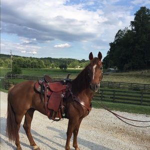 Meet your Posher, Modine